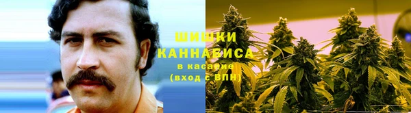 гидра Беломорск