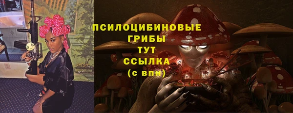 гидра Беломорск